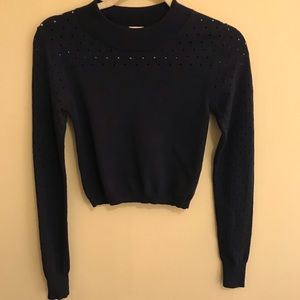 Aritzia Wilfred cropped bodycon turtleneck